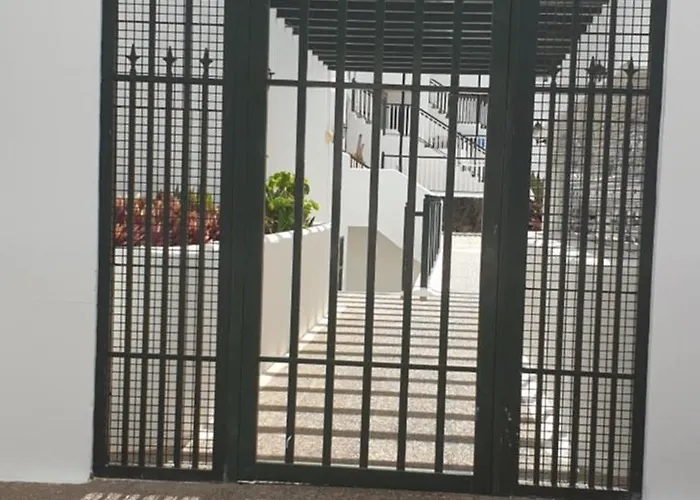 The Ravens * プエルト・デル・カルメン